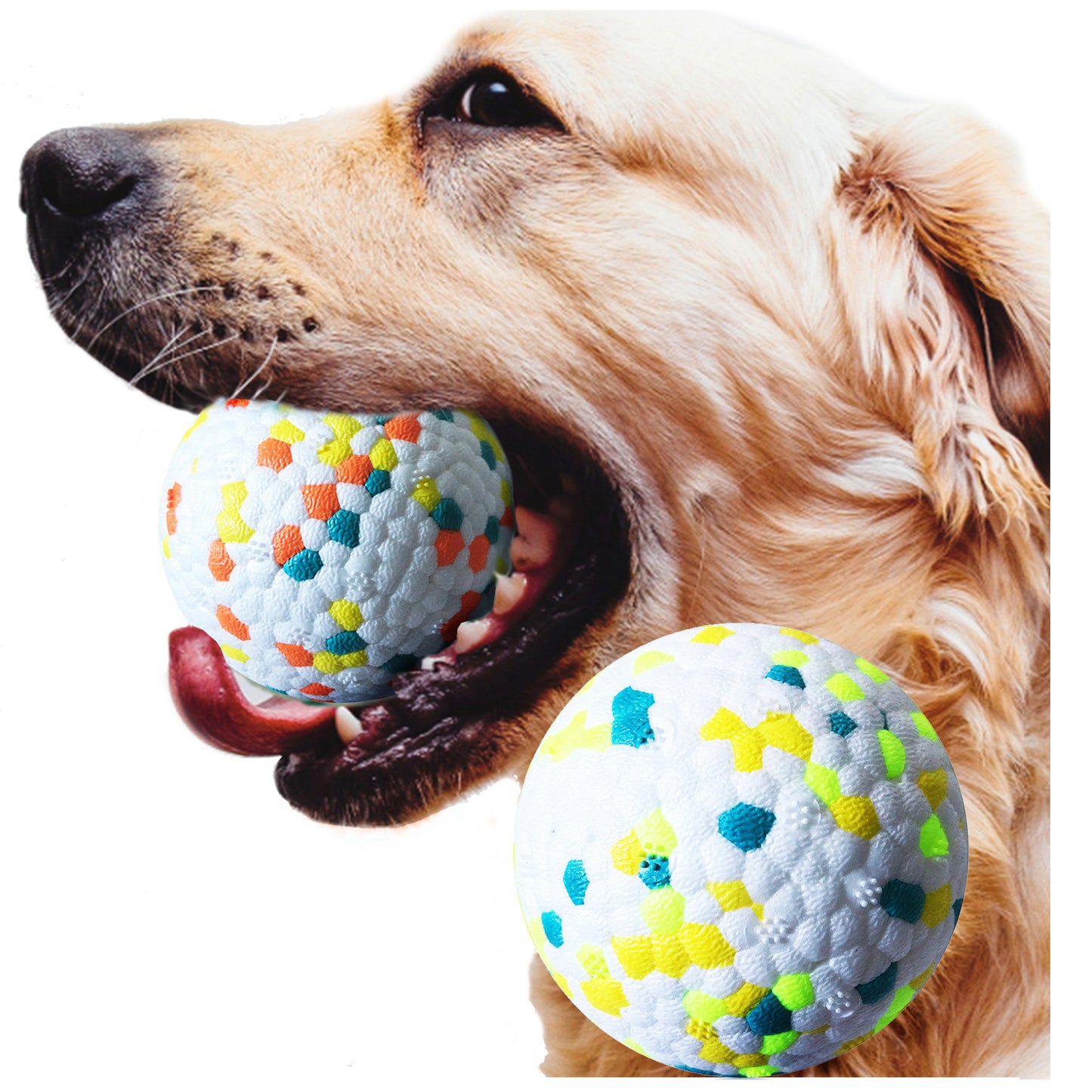 Interactive Training Dog Toy Molar Ball