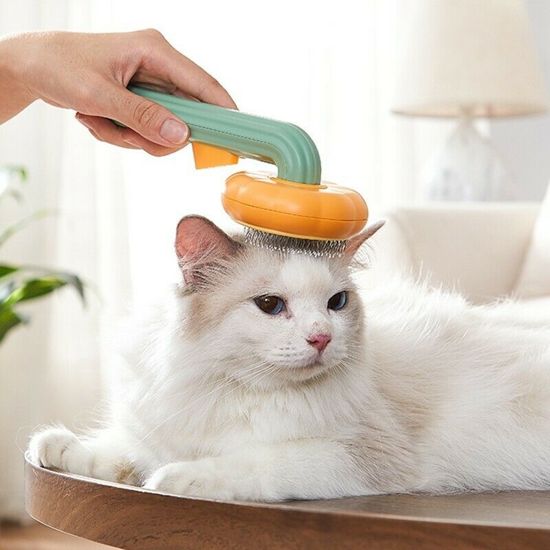 Pet Self Cleaning Slicker Brush