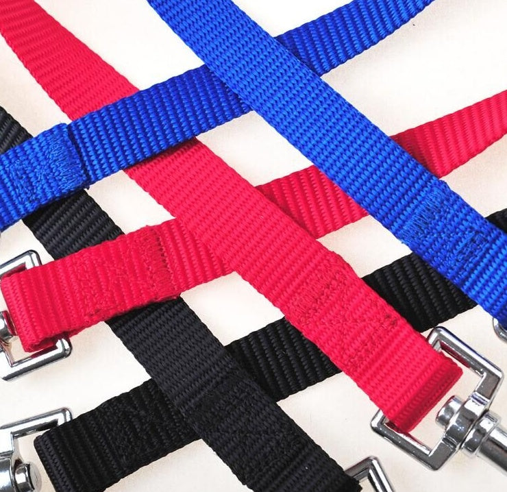 Double Twin Lead Walking Coupler Leash