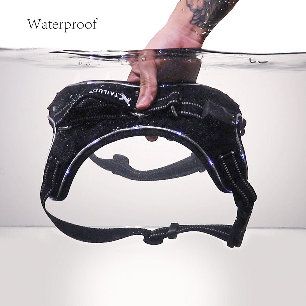 Glowing Pet Dog Collar