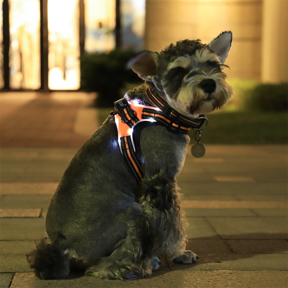 Glowing Pet Dog Collar