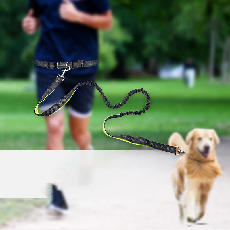 Telescopic Dog Walking Belt Traction Rope